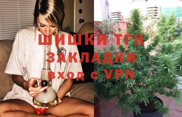 ПСИЛОЦИБИНОВЫЕ ГРИБЫ Семилуки